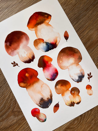 Multicolor Mushrooms Sheet