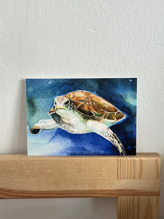 Lámina Tortuga Marina