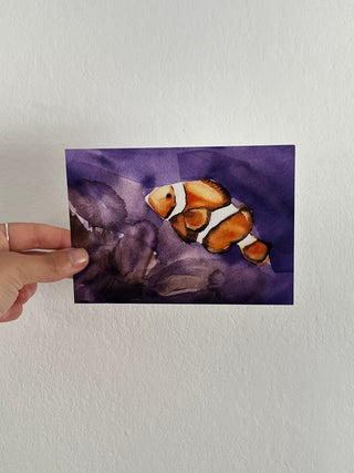 Clown fish sheet