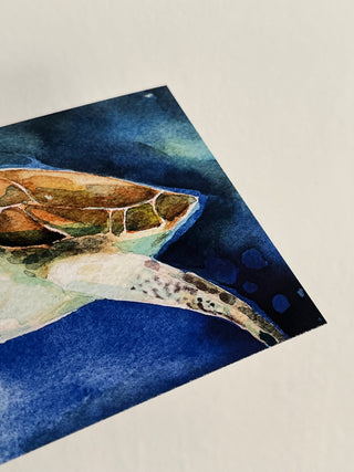 Lámina Tortuga Marina