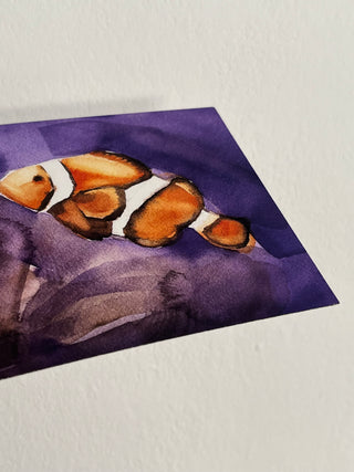 Clown fish sheet