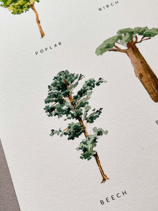 Green Trees Sheet