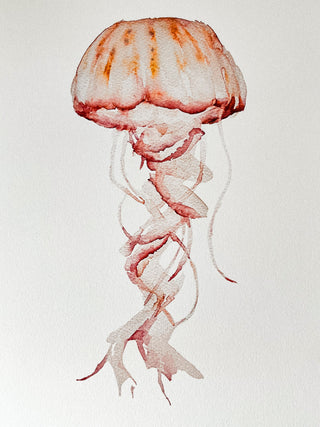 The Jellyfish Print