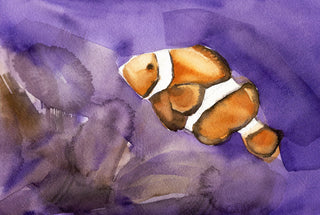 Clown fish sheet