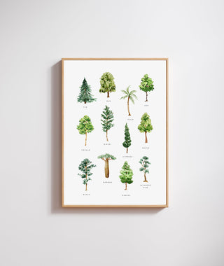 Green Trees Sheet