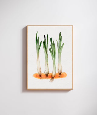 Lámina Calçots