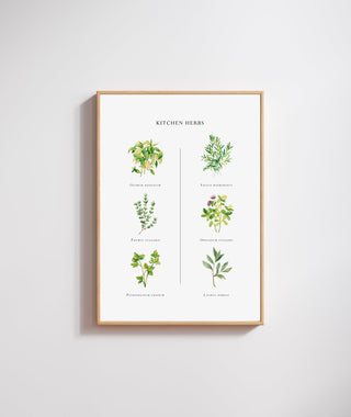 The Kitchen Herbs Print 🌿