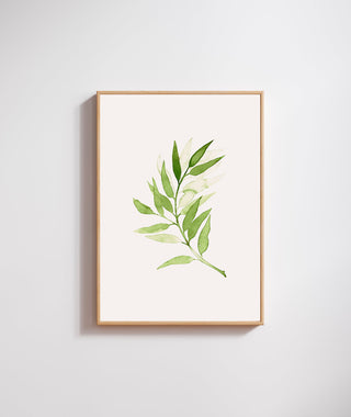 Lámina Rama Verde 🌿