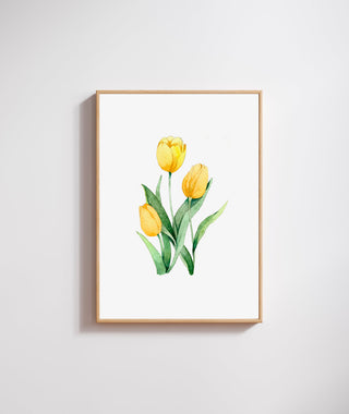 The Pink Tulip Print