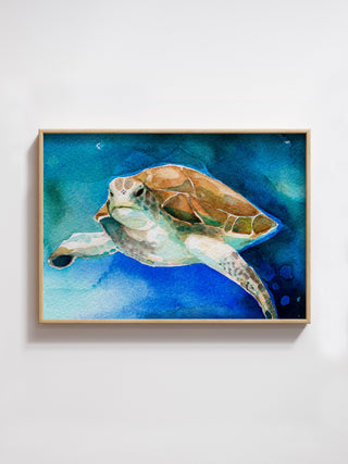 Lámina Tortuga Marina