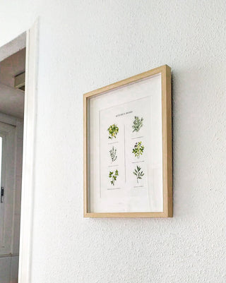 The Kitchen Herbs Print 🌿