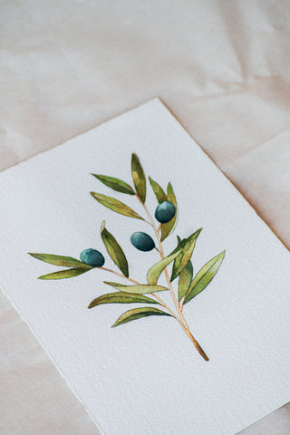 Olive Branch painting 🌿