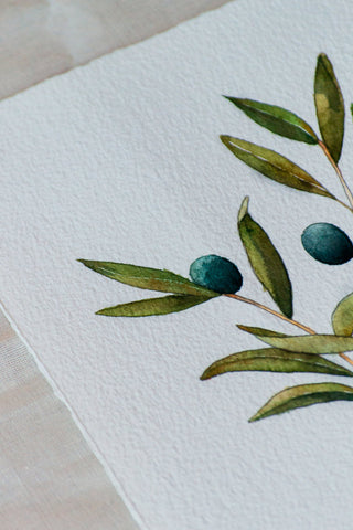 Olive Branch painting 🌿