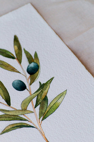 Olive Branch painting 🌿