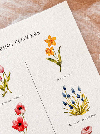 The Spring Flowers Print