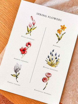 The Spring Flowers Print