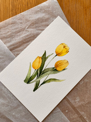 The Pink Tulip Print