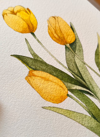 The Pink Tulip Print
