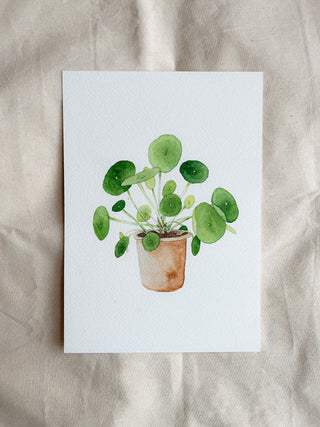 Pilea painting 🌿