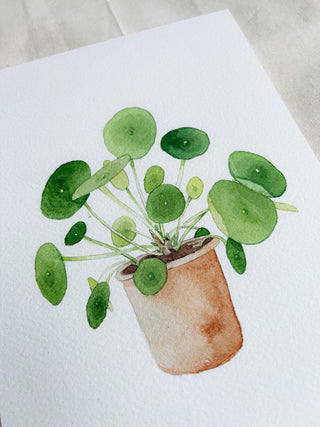 Pilea painting 🌿