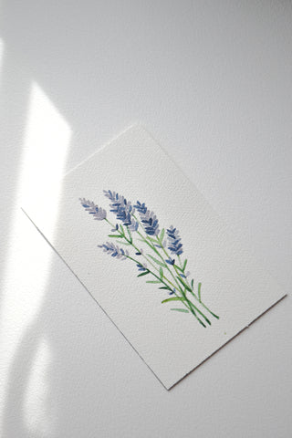 Lavender