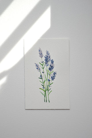 Lavender