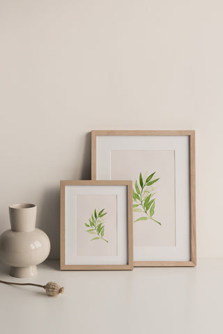 Lámina Rama Verde 🌿