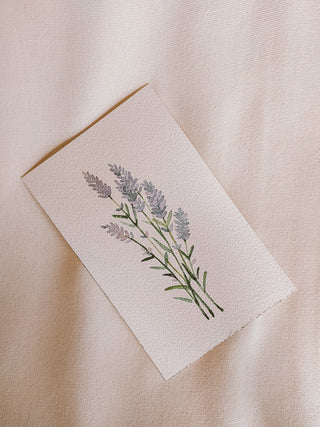 Lavender