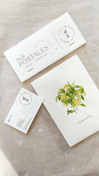 The 5 Herbs Postcard Set🌿