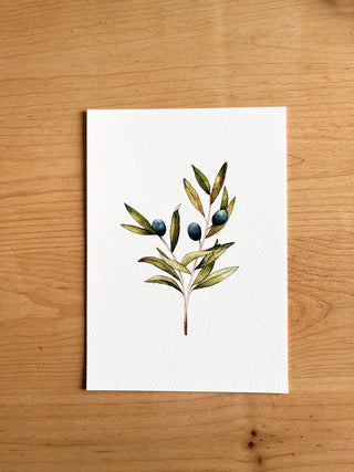 The Olive Tree Print🌿