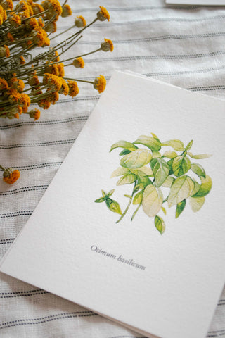 The 5 Herbs Postcard Set🌿