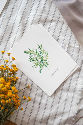 The 5 Herbs Postcard Set🌿