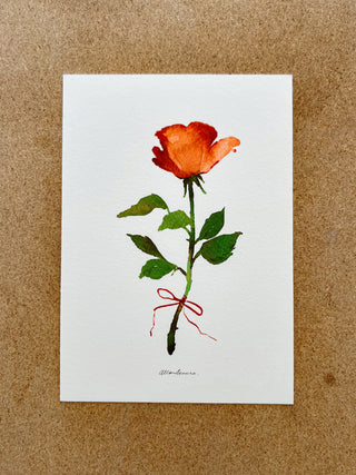 Postal Rosa de Sant Jordi - Llaç
