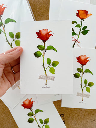 Postal Rosa de Sant Jordi - Cinta