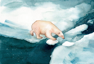 polar-bear-watercolor-illustration.jpg