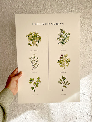 Lámina Kitchen Herbs 🌿