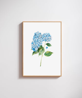 The Blue Hydrangea Print