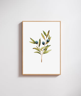 The Olive Tree Print🌿