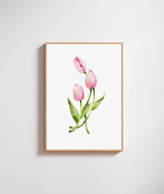 The Pink Tulip Print