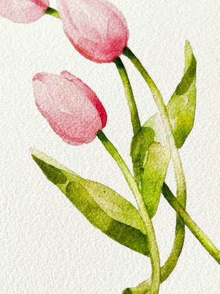 The Pink Tulip Print