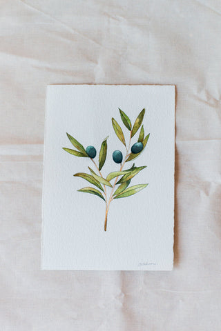 Olive Branch painting 🌿