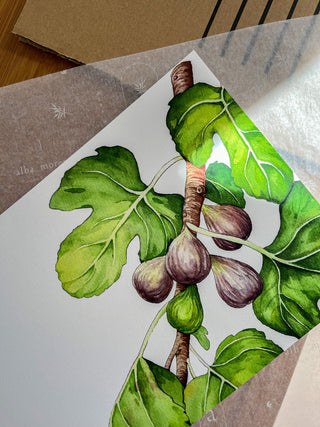 The Fig Tree Print