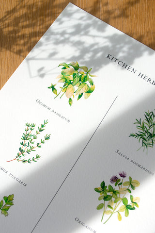 The Kitchen Herbs Print 🌿
