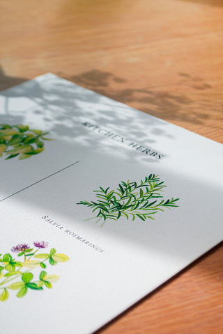The Kitchen Herbs Print 🌿