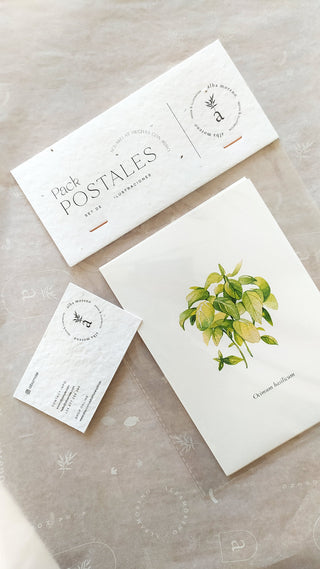 Pack x5 postales Aromáticas 🌿