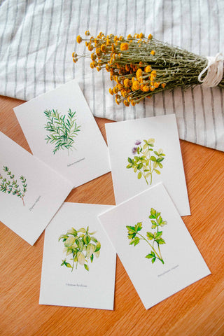 The 5 Herbs Postcard Set🌿