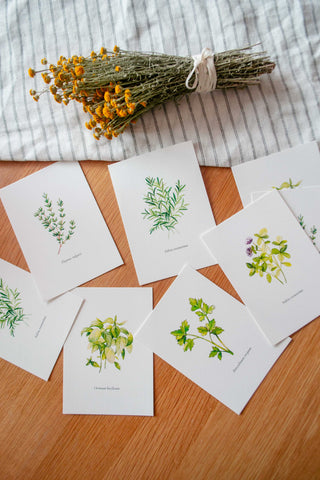 The 5 Herbs Postcard Set🌿